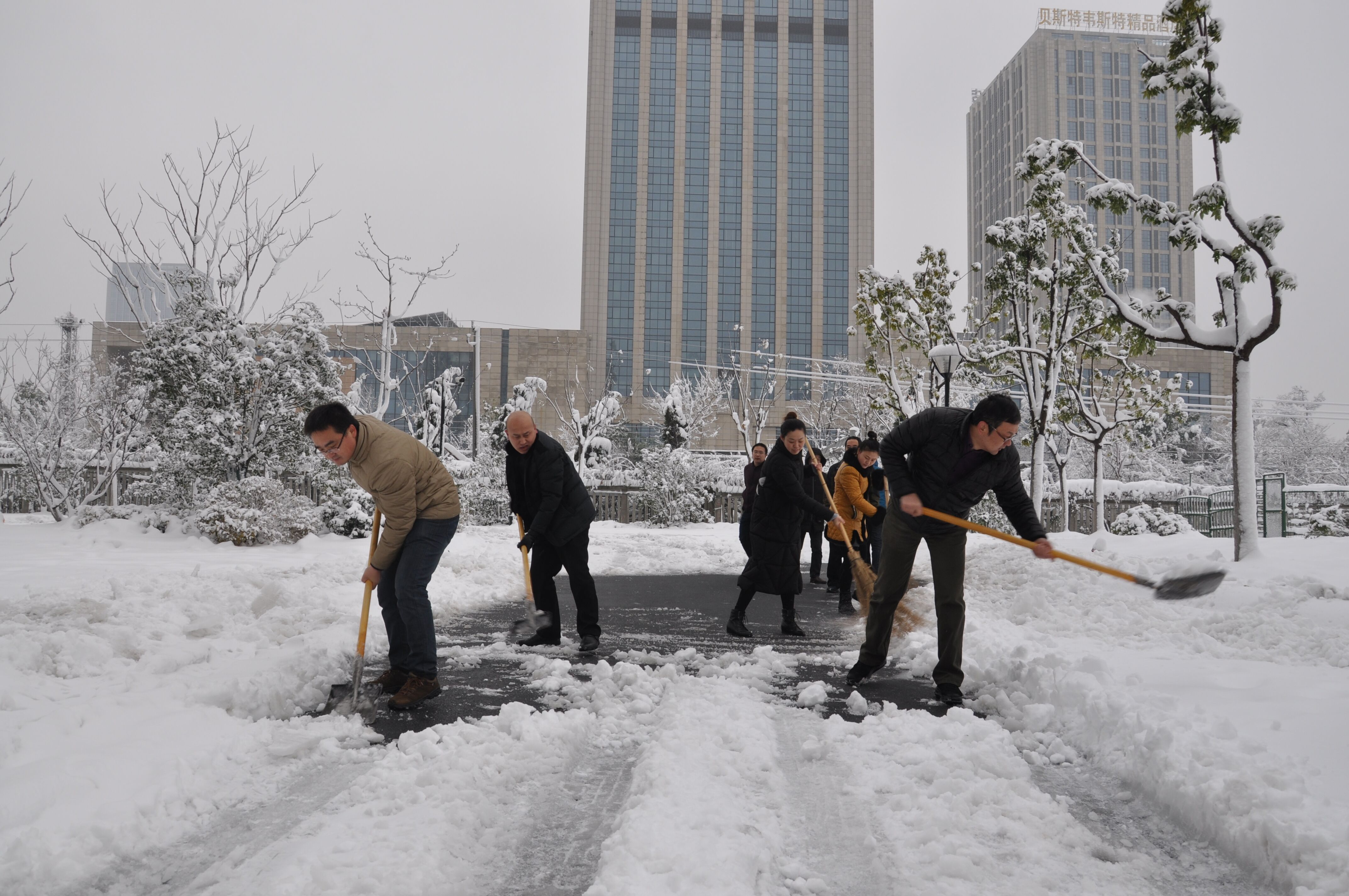 尊时凯龙·Z6(中国区)人生就是拼搏!