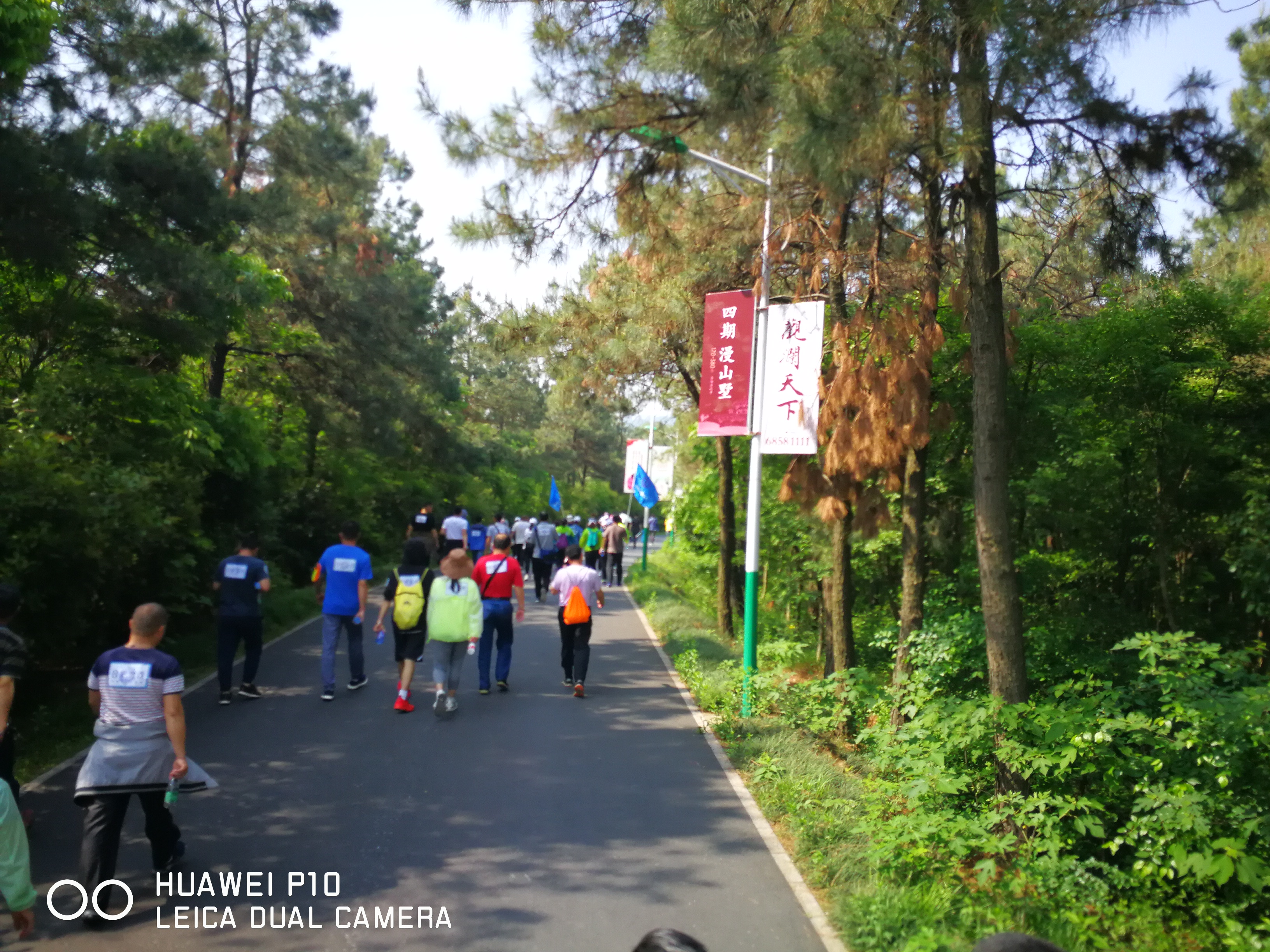 尊时凯龙·Z6(中国区)人生就是拼搏!