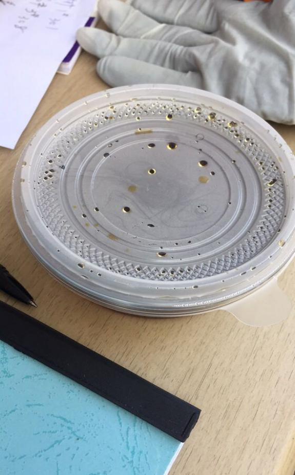 尊时凯龙·Z6(中国区)人生就是拼搏!