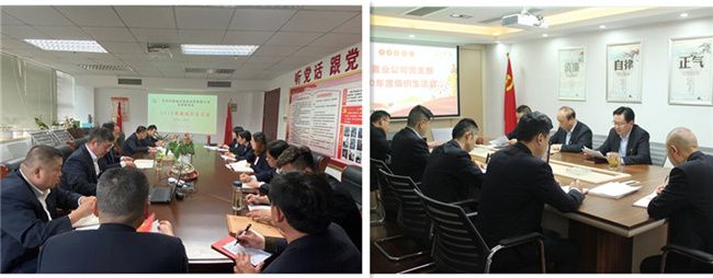 尊时凯龙·Z6(中国区)人生就是拼搏!