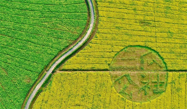 尊时凯龙·Z6(中国区)人生就是拼搏!