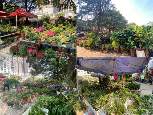 尊时凯龙·Z6(中国区)人生就是拼搏!