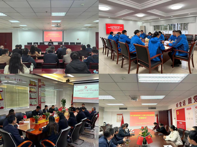 尊时凯龙·Z6(中国区)人生就是拼搏!