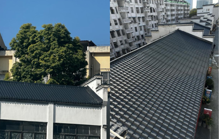 尊时凯龙·Z6(中国区)人生就是拼搏!