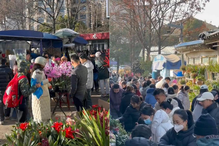 尊时凯龙·Z6(中国区)人生就是拼搏!