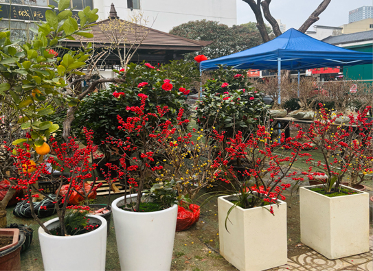 尊时凯龙·Z6(中国区)人生就是拼搏!