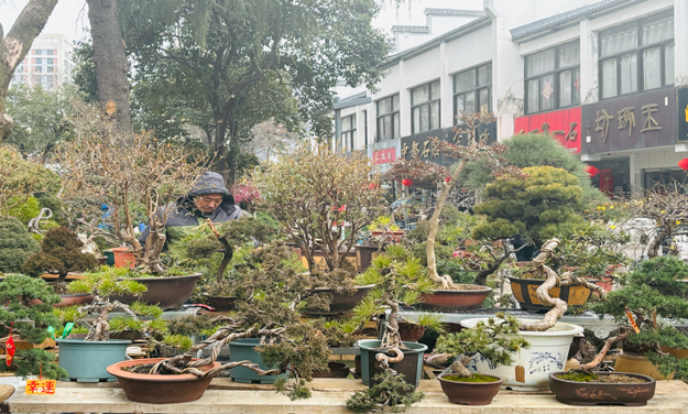 尊时凯龙·Z6(中国区)人生就是拼搏!