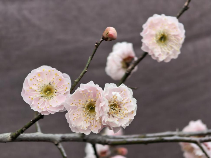 尊时凯龙·Z6(中国区)人生就是拼搏!