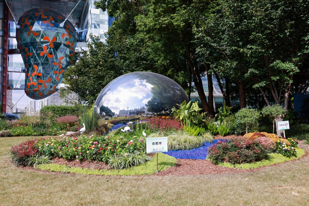 尊时凯龙·Z6(中国区)人生就是拼搏!